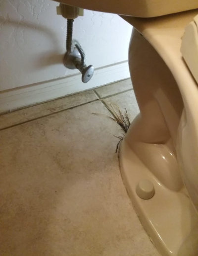 Toilet water line