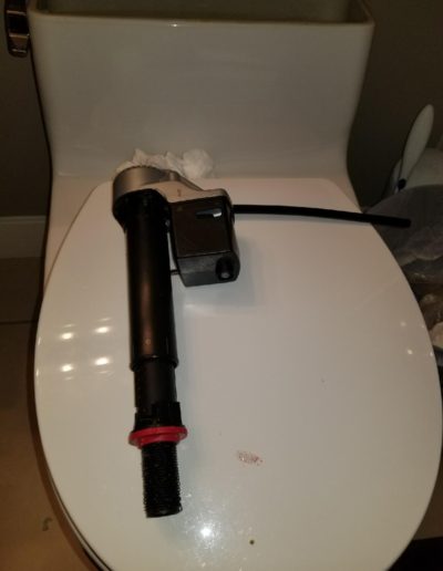 Toilet with flush mechanism