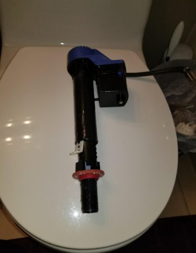 Toilet flush mechanism